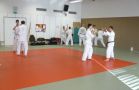 Heisho Waza (Partnerform)