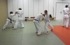 Heisho Waza (Partnerform)