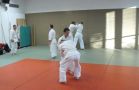 Heisho Waza (Partnerform)