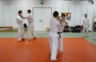 Heisho Waza (Partnerform)